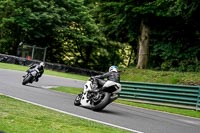 cadwell-no-limits-trackday;cadwell-park;cadwell-park-photographs;cadwell-trackday-photographs;enduro-digital-images;event-digital-images;eventdigitalimages;no-limits-trackdays;peter-wileman-photography;racing-digital-images;trackday-digital-images;trackday-photos